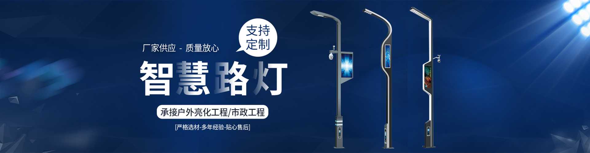 广水市太阳能路灯定制厂家