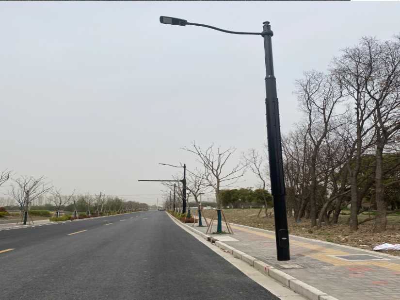 广水市上海综合杆 太阳能路灯工程