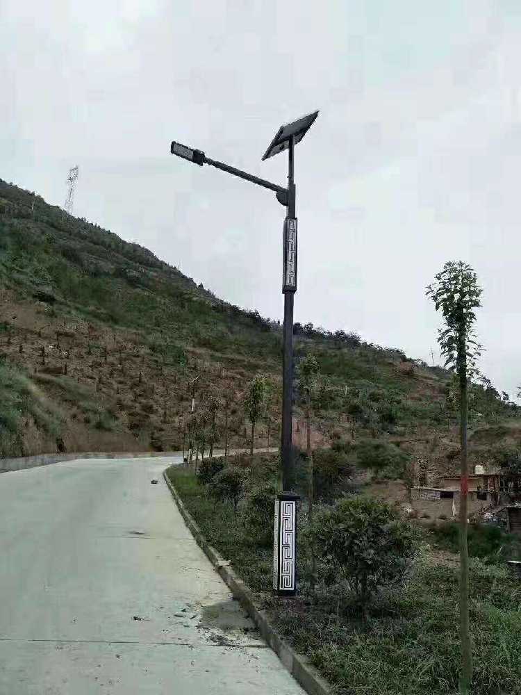 广水市仿古太阳能路灯